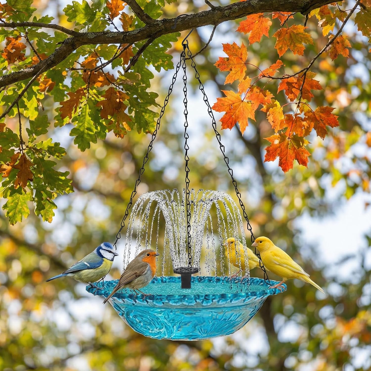 Why Settle for a Puddle When You Can Have a Palace Fountain? (And Yes, Your Bird Knows the Difference)