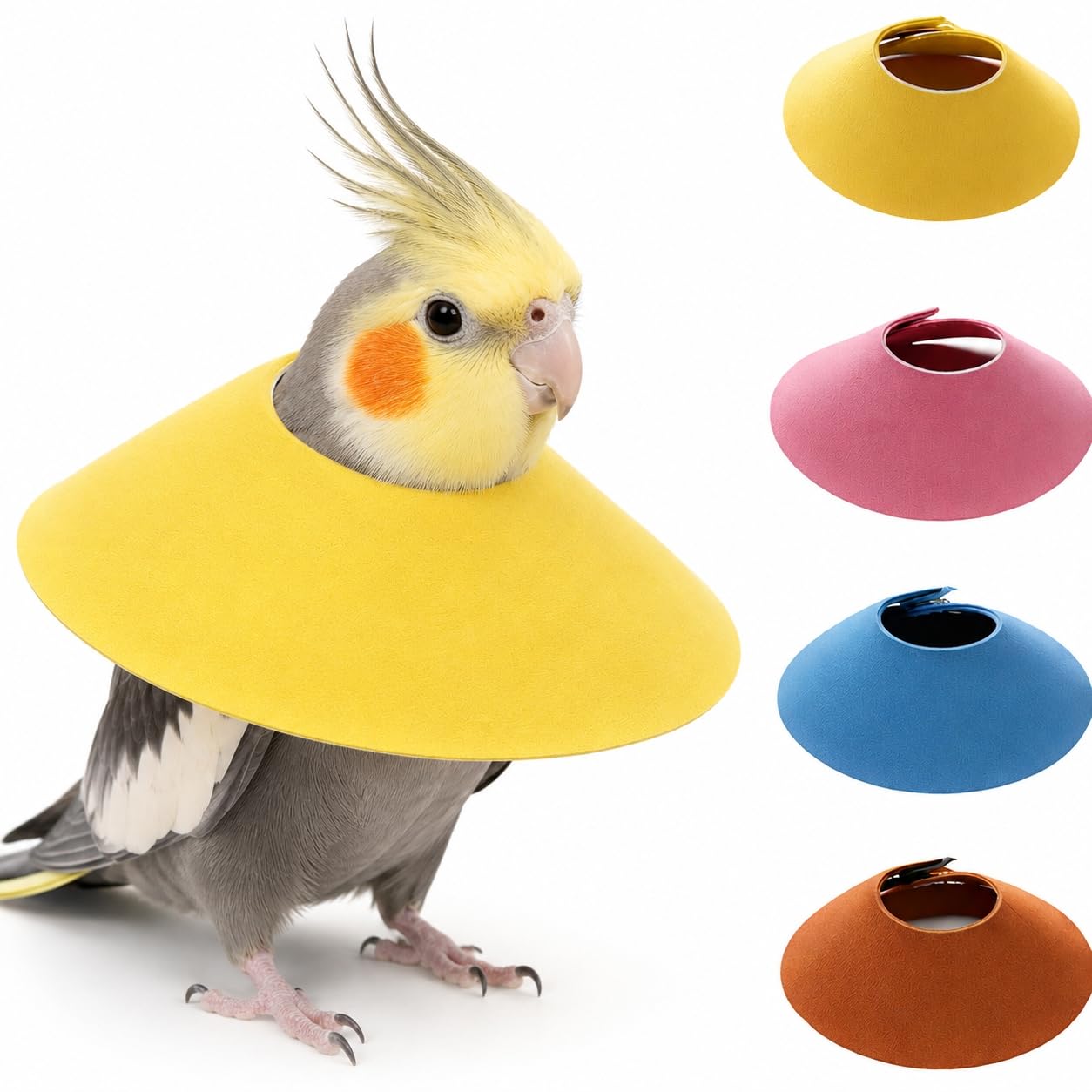 4Pcs Bird Cone Collar, Bird Elizabethan Collar for Wound Biting Prevention & Feather Plucking, Protective Recovery Cone for Monk/Caique/Mini Macaw/Cockatiel/Conure Parrots (L)