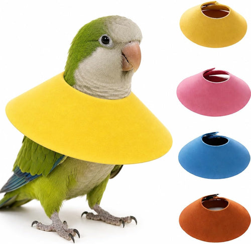 4Pcs Bird Cone Collar, Bird Elizabethan Collar for Wound Biting Prevention & Feather Plucking, Protective Recovery Cone for Monk/Caique/Mini Macaw/Cockatiel/Conure Parrots (L)