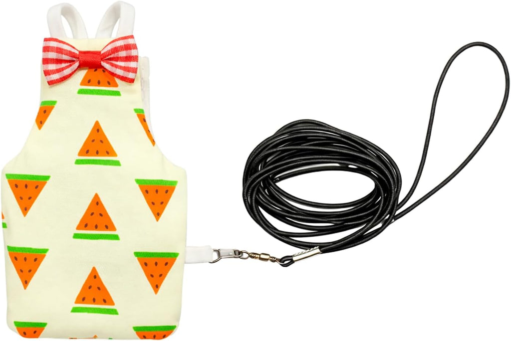 Cockatiel Sun Conure Bird Diaper and Leash Set, Small Bird Diaper and Harness, Reusable Flight Suit for Monk Parakeet/Adult Cockatiel/Mini Macaw/Caique (L)