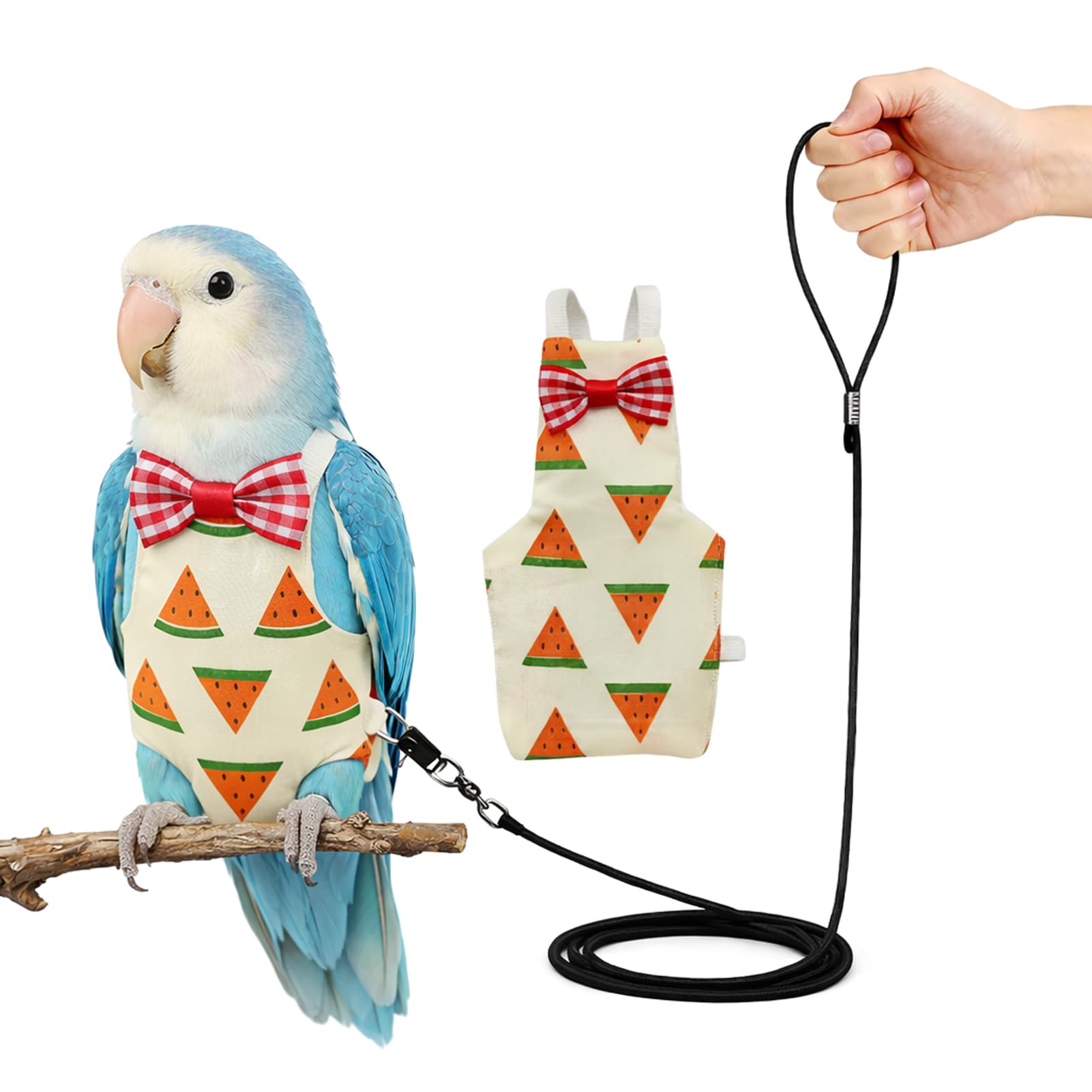 Cockatiel Sun Conure Bird Diaper and Leash Set, Small Bird Diaper and Harness, Reusable Flight Suit for Monk Parakeet/Adult Cockatiel/Mini Macaw/Caique (L)